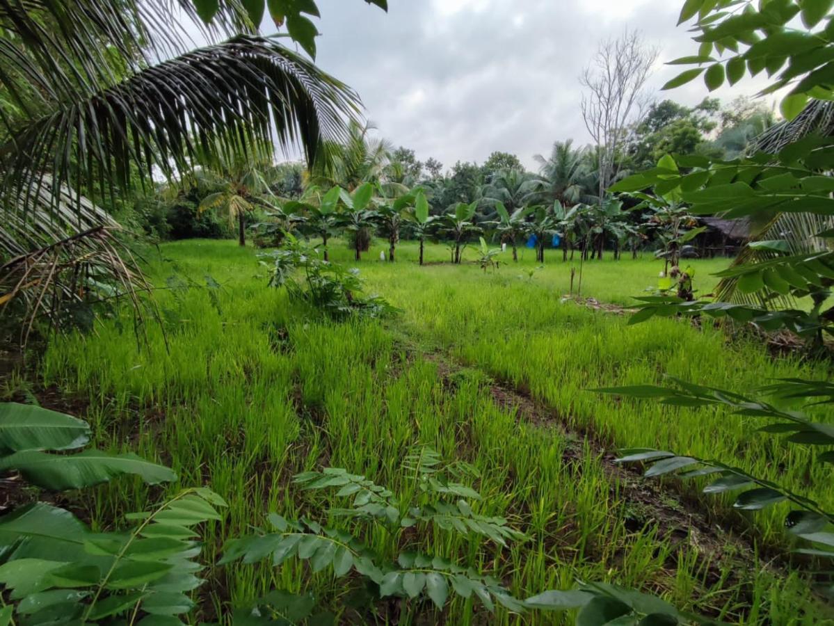 Sigiri Sandilu Homestay Sigiriya Eksteriør bilde