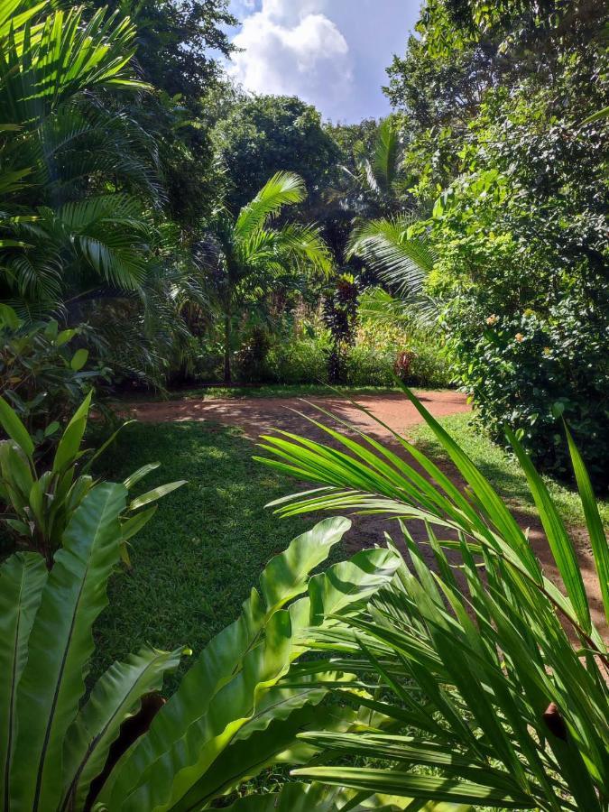 Sigiri Sandilu Homestay Sigiriya Eksteriør bilde