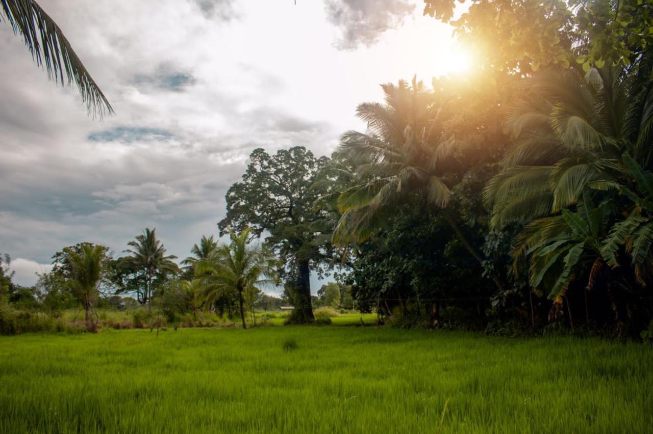 Sigiri Sandilu Homestay Sigiriya Eksteriør bilde
