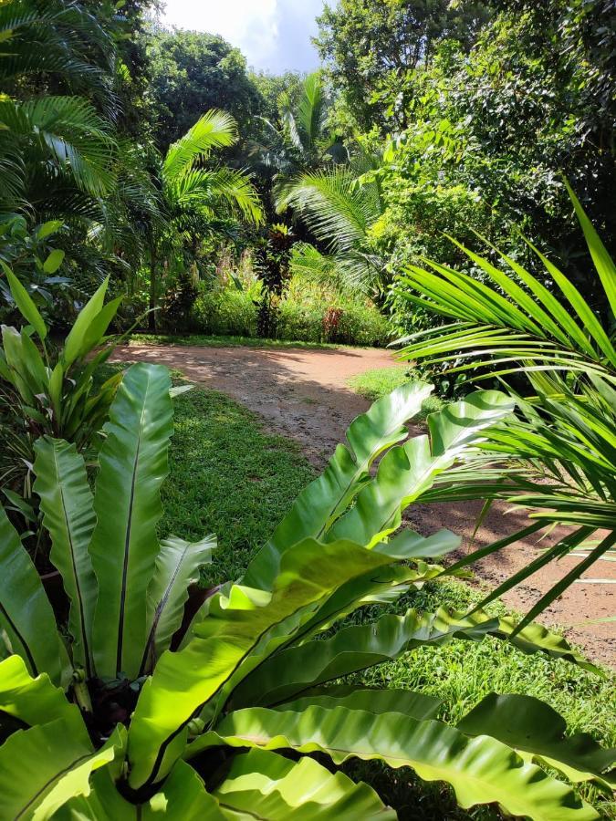 Sigiri Sandilu Homestay Sigiriya Eksteriør bilde