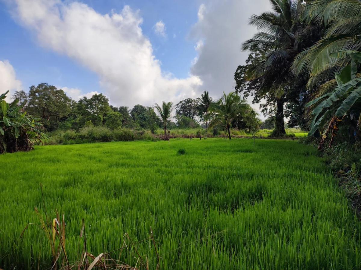 Sigiri Sandilu Homestay Sigiriya Eksteriør bilde