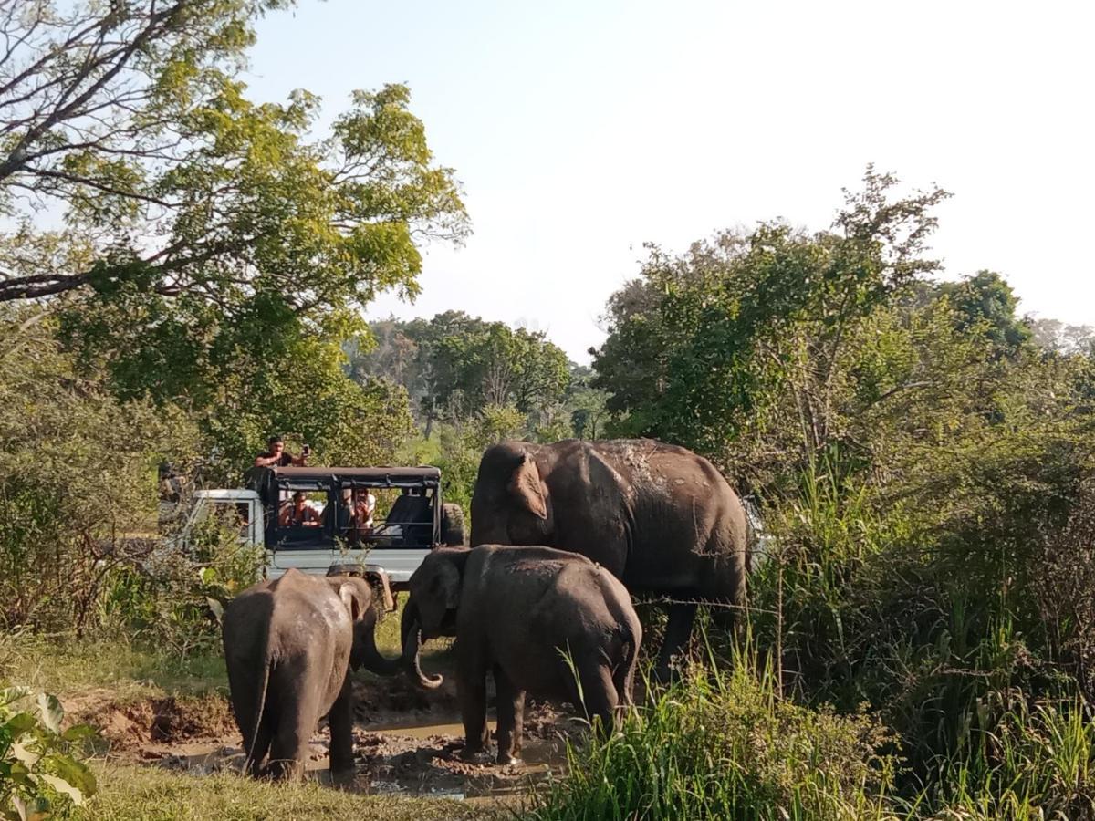 Sigiri Sandilu Homestay Sigiriya Eksteriør bilde