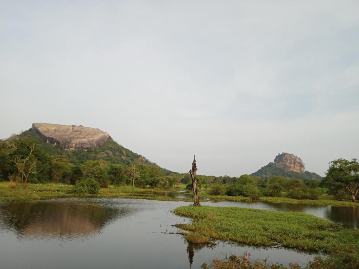 Sigiri Sandilu Homestay Sigiriya Eksteriør bilde