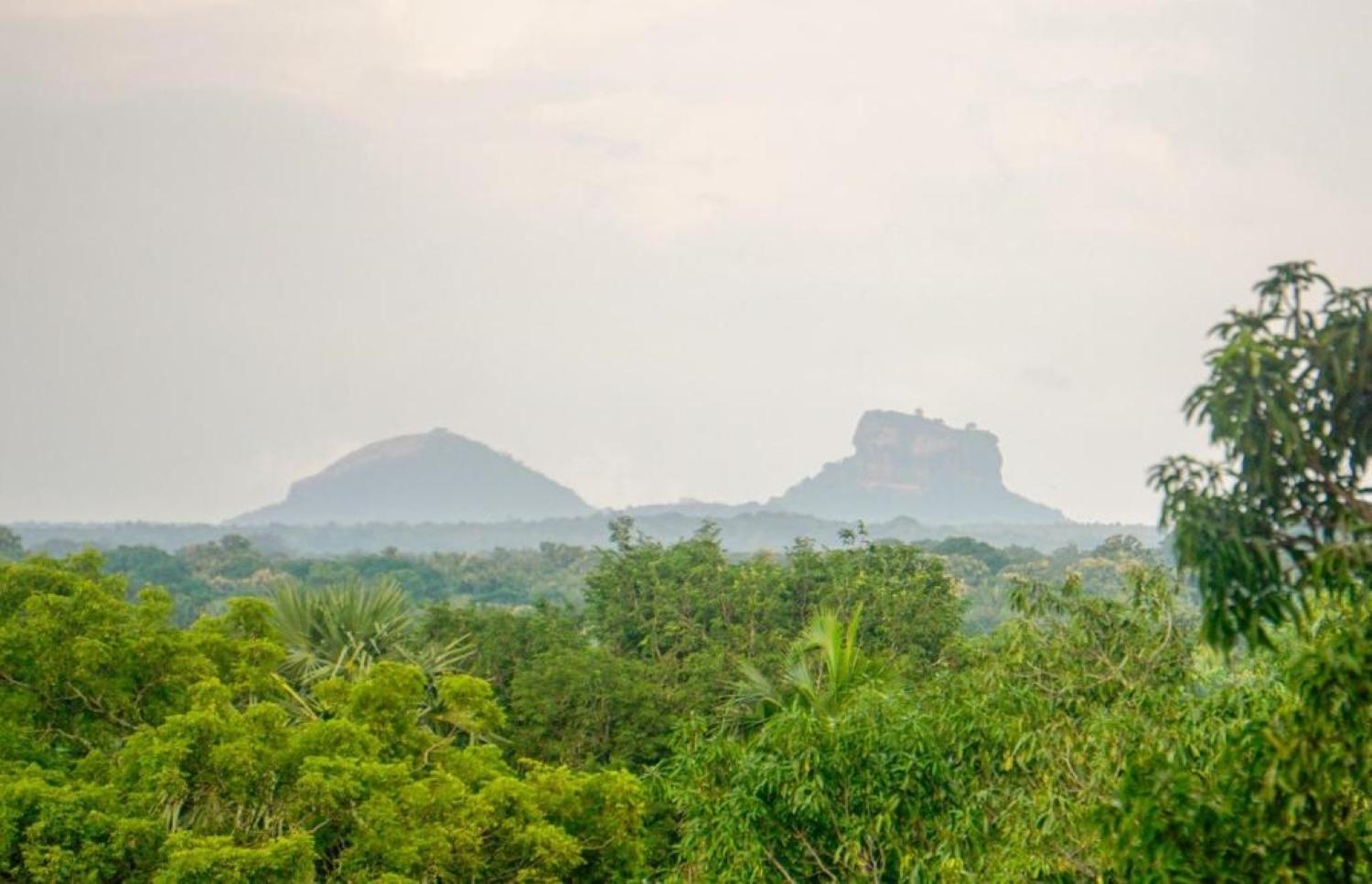 Sigiri Sandilu Homestay Sigiriya Eksteriør bilde