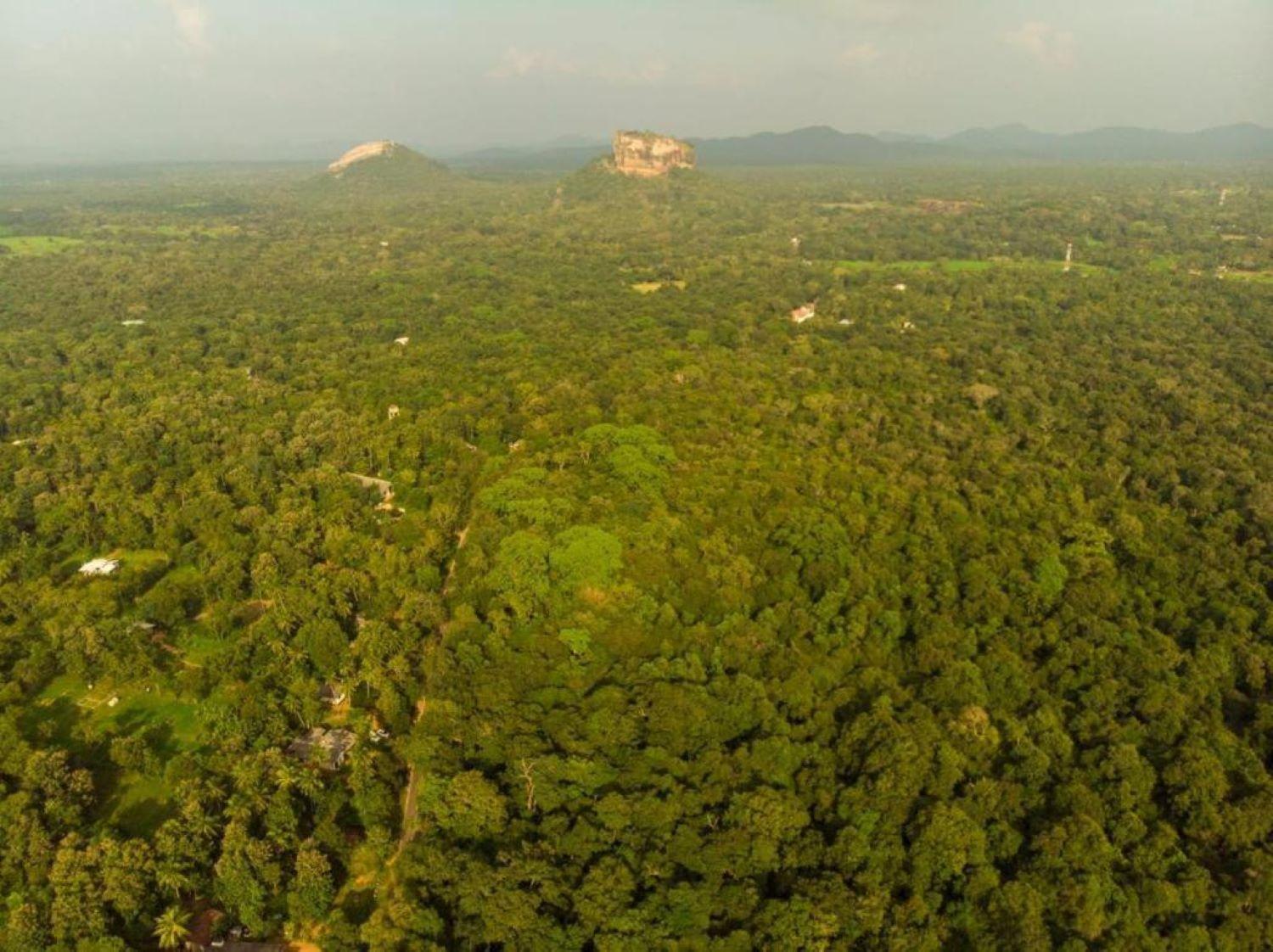 Sigiri Sandilu Homestay Sigiriya Eksteriør bilde